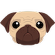 Pug